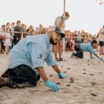 SCA crew member releasing sea turtle hatchlings on beach shore