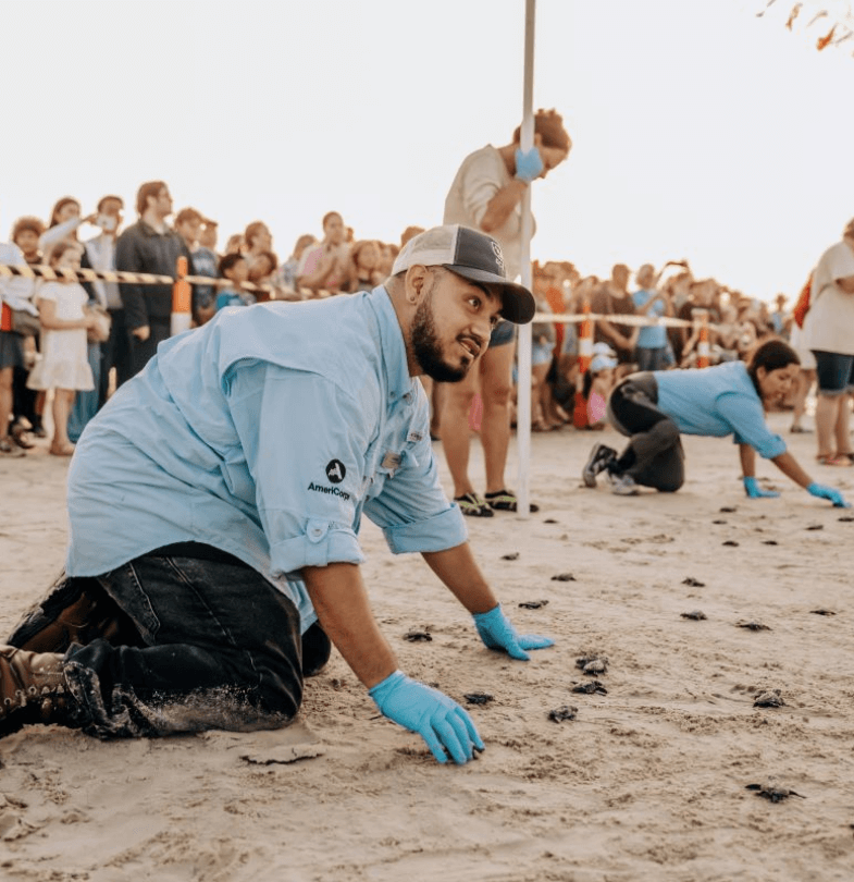 SCA crew member releasing sea turtle hatchlings on beach shore