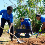 Three SCA crew members planting tree