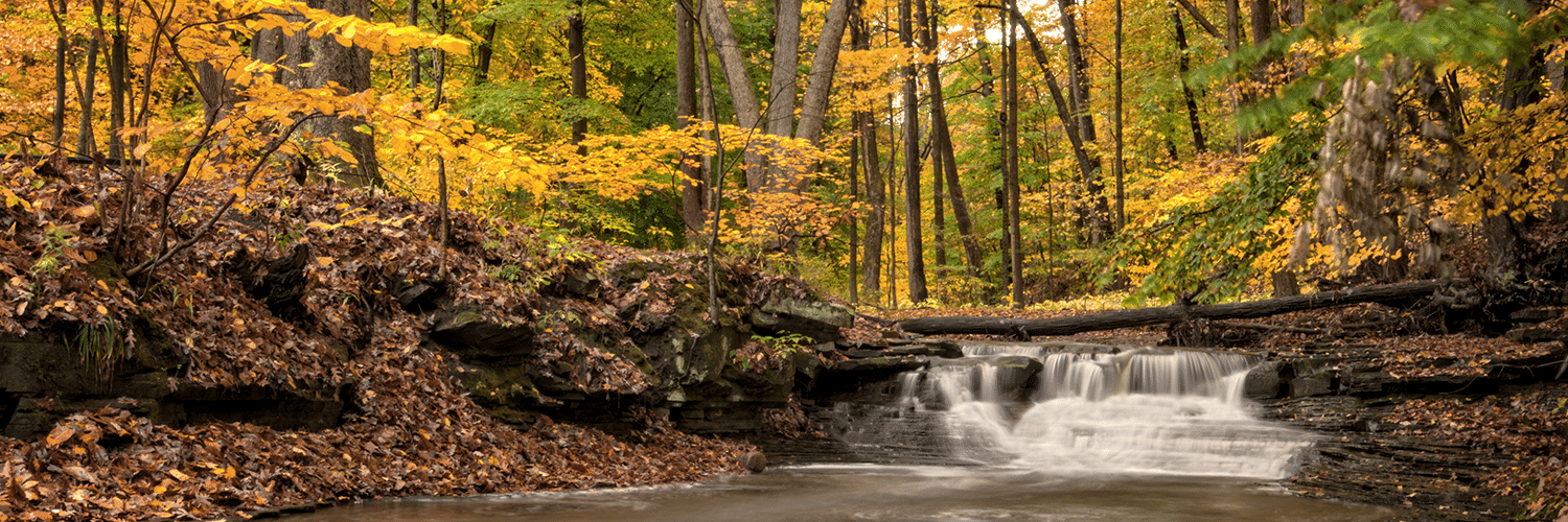 Photo Vote Results: Your Fall Foliage Favorite