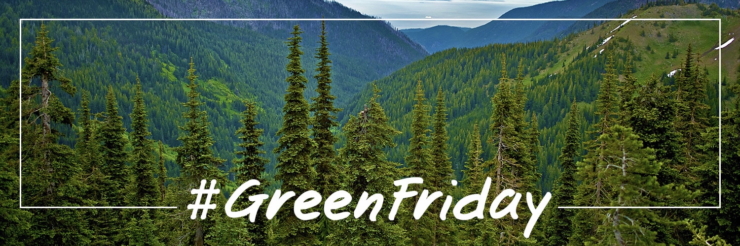 #GreenFriday Is the New Black Friday