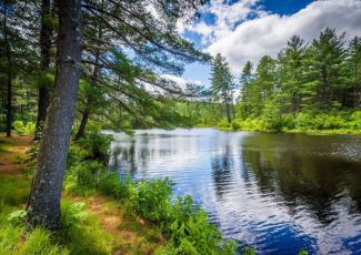 Bear Brook State Park in New Hampshire