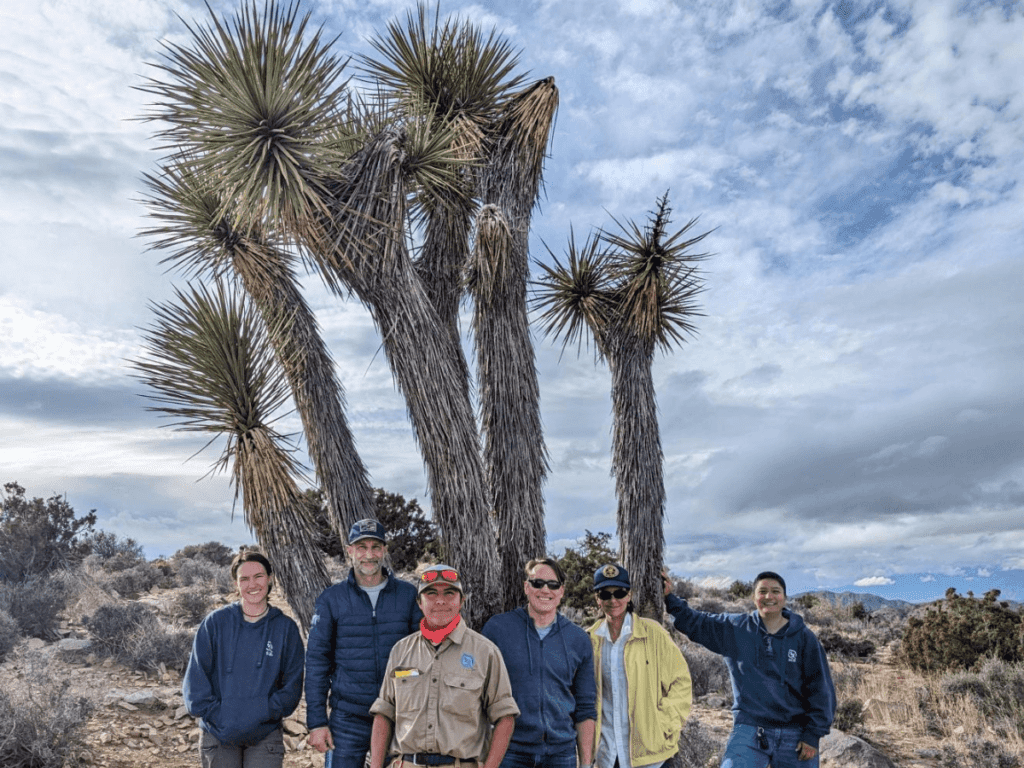 Mojave Desert Restoration crew standing in front of Joshua trees
