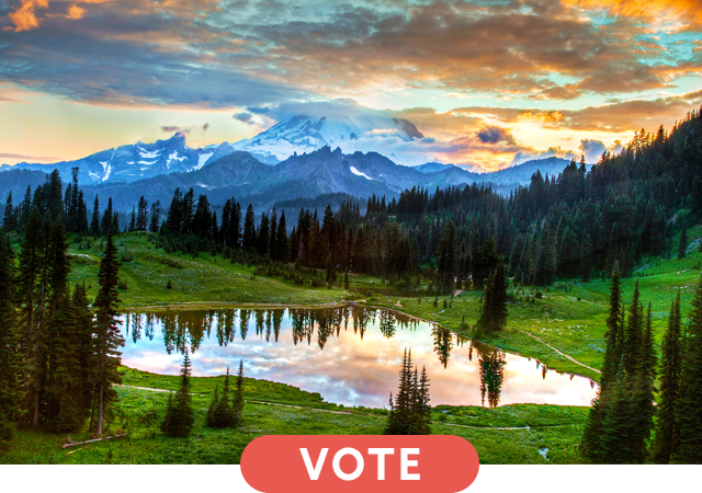 Mt Rainier Landscape with a Vote button
