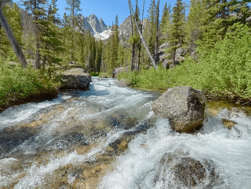 Flowing Creek at Sawtooth National Recreation Area
