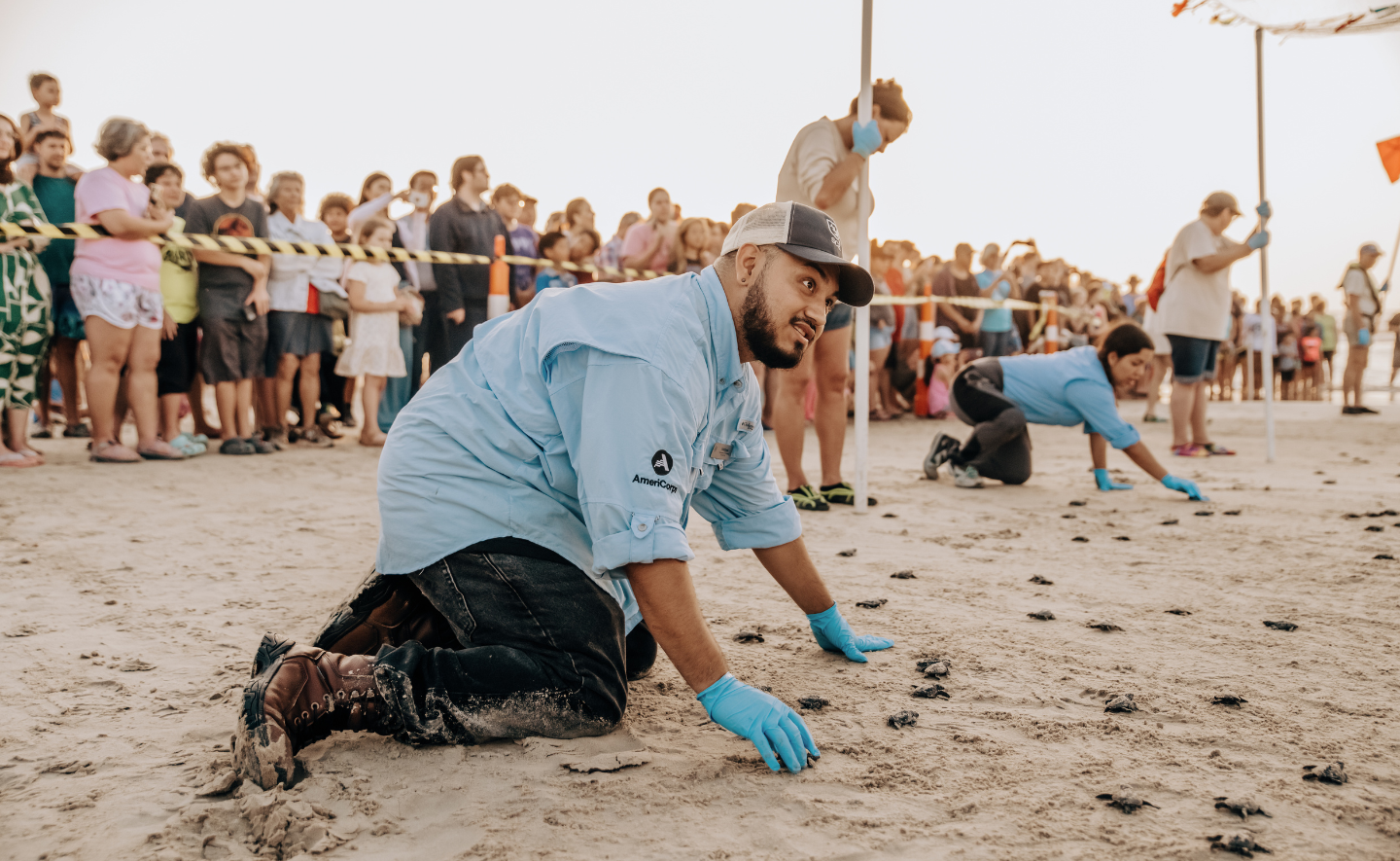 SCA intern assisting with sea turtle hatchling release at Padre Island National Seashore