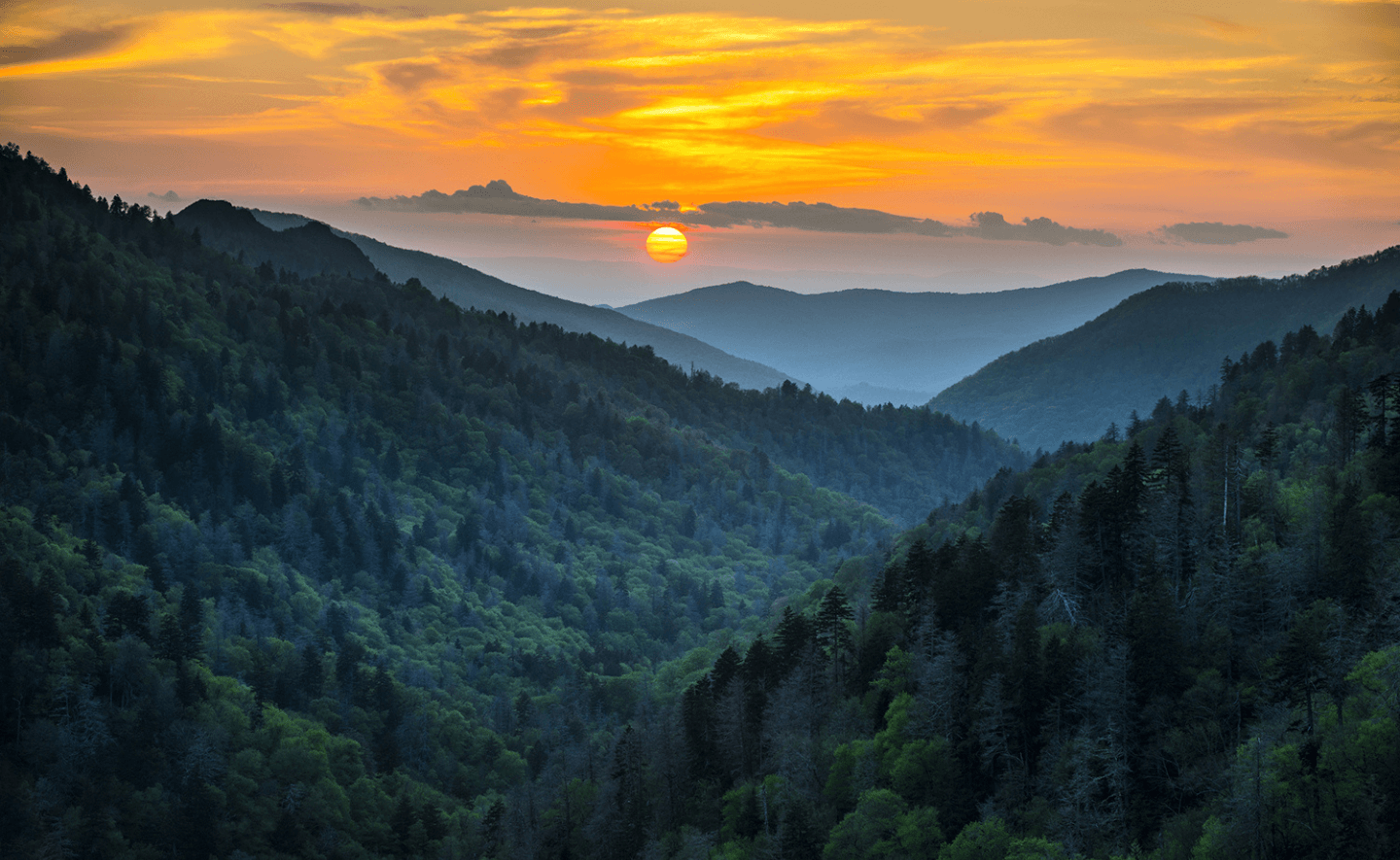 Great Smoky Mountains National Park at sunrise