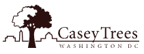 Casey Trees of Washington, D.C.