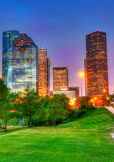 Houston Urban Green City Skyline