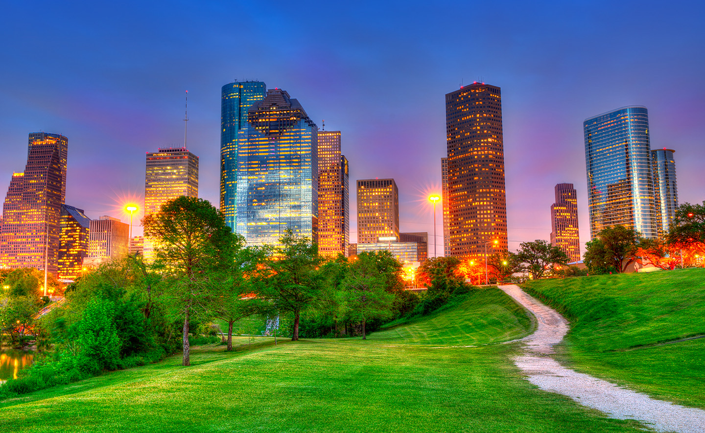 Houston Urban Green City Skyline