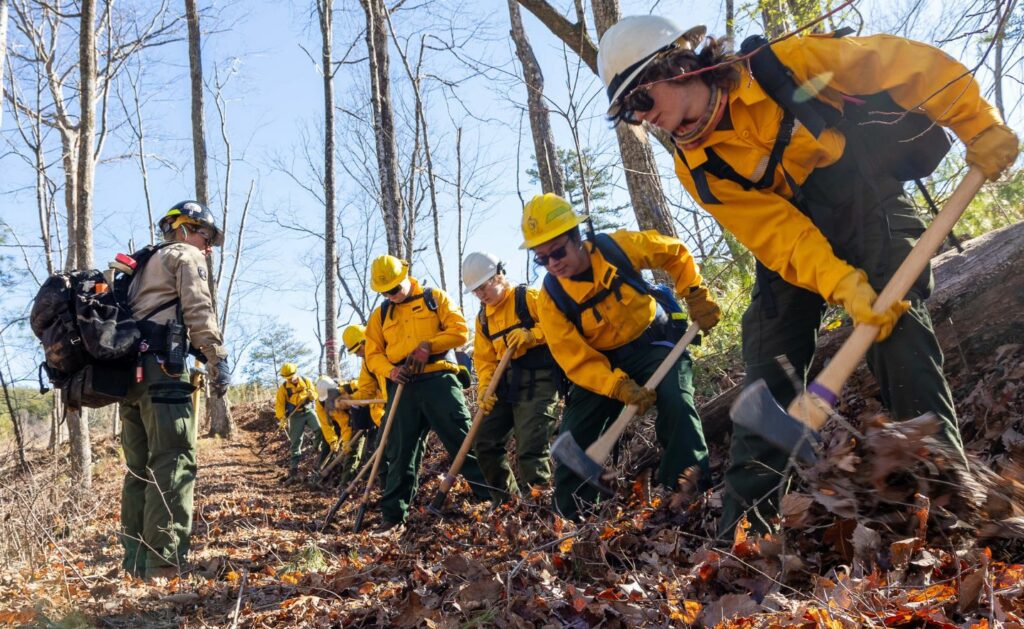 Wildland fire interns wearing protective gear and using tools to dig in the ground.