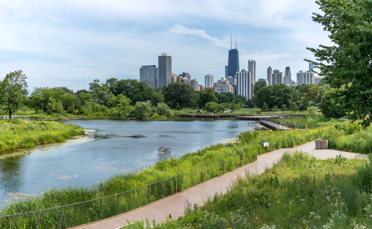 Chicago Skyline, river, trees and boardwalk