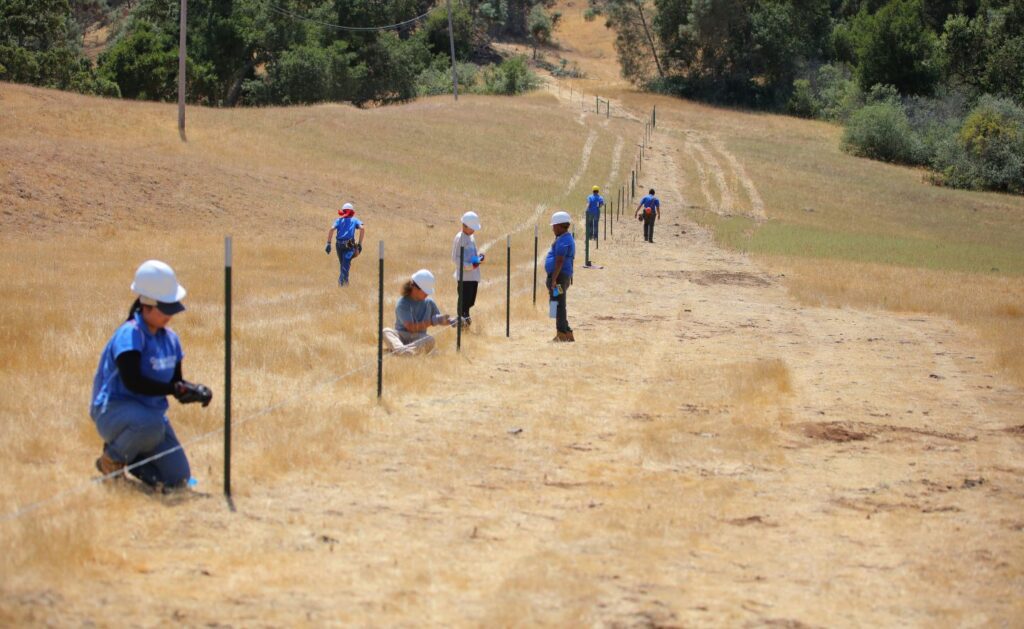 Bay Area Peninsula Climate Resiliency Crew installing cattle fencing in field.