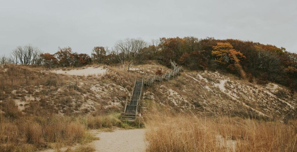 Wood staircase at Indiana Dunes National Park