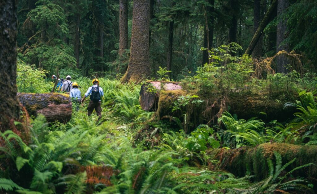 SCA Olympic National Park Backcountry Trail Team On Trail