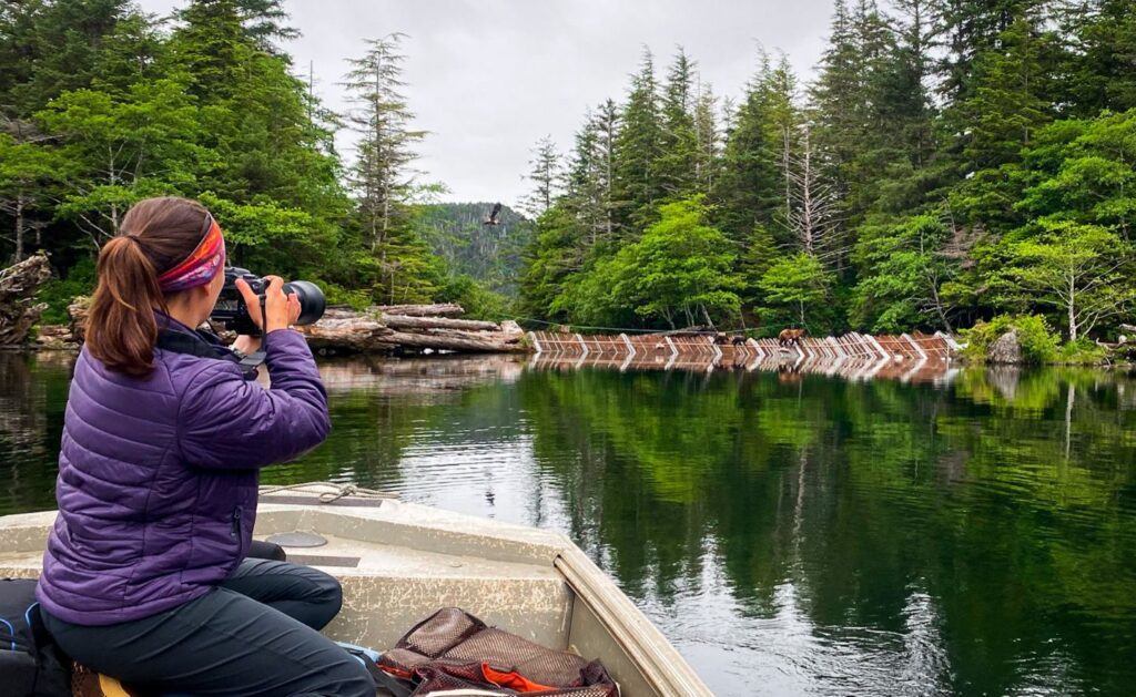 SCA Alum Anna Tripp in a boat taking a picture of a bear and an eagle while in Alaska during her Fishery Technician Internship in Sitka, Alaska.