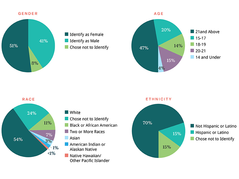 Program participant demographics graphic