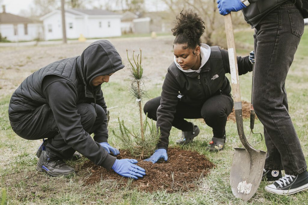 Three SCA volunteers work on planting a small fir tree.