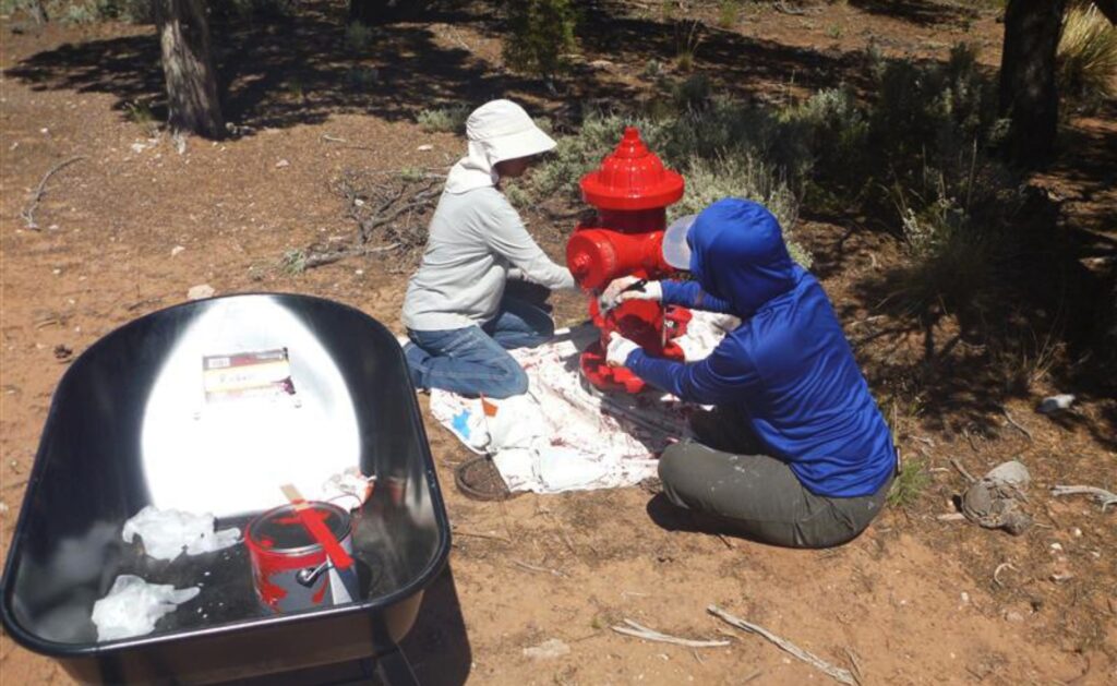 Two individuals sit on the ground as they repaint a fire hydrant bright red. A black wheelbarrow containing the paint can and materials sits nearby. The setting appears to be a sunny day with dry terrain.