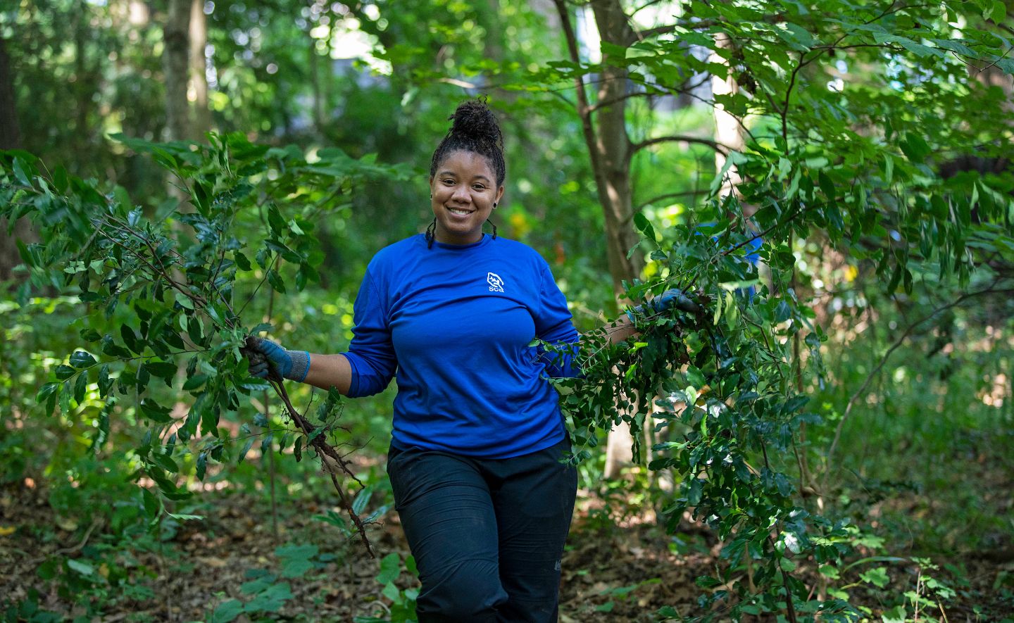 SCA crew member wearing blue t-shirt holding invasive species branches while standing in woods