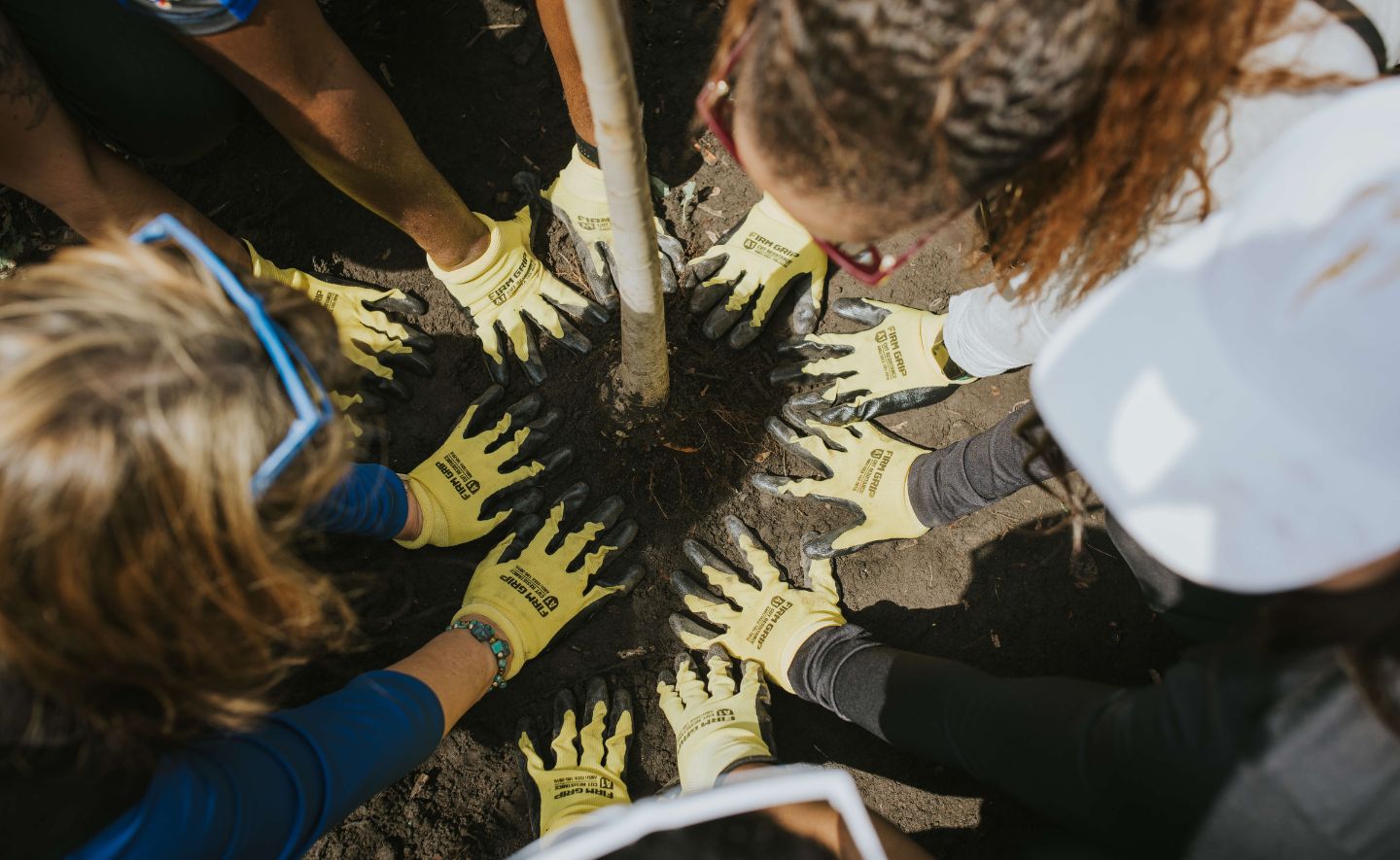 A group of people wearing gloves patting dirt around base of a tree