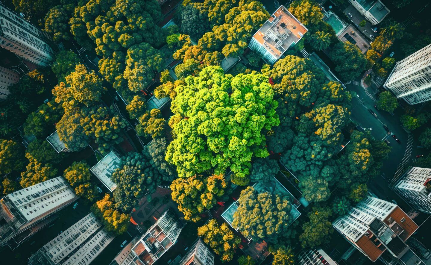 Aerial view of trees surrounding skyscrapers