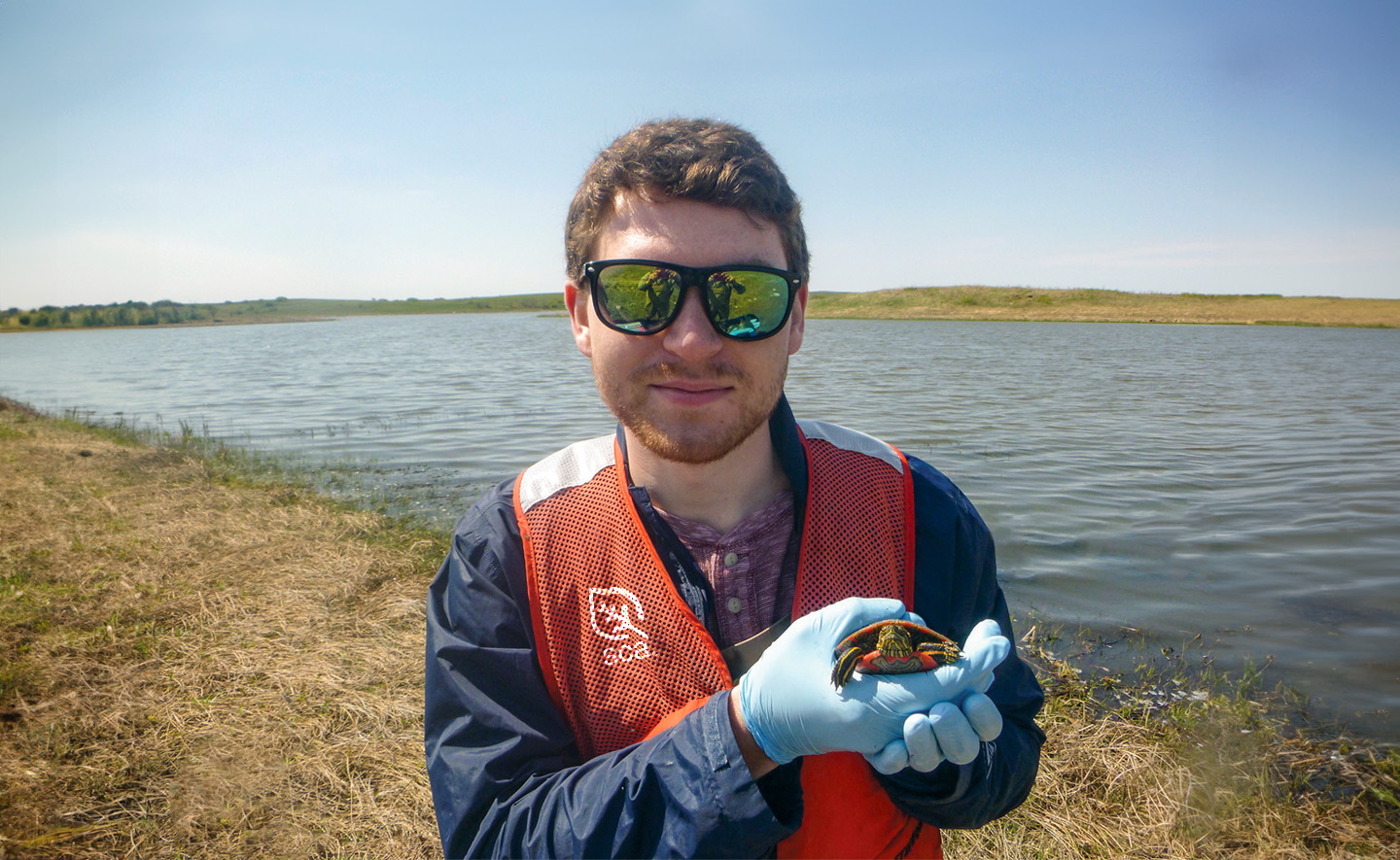 A person holding a small turtle in their hand