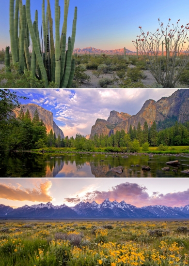 Vertical composite image with three sections featuring landscapes. From left to right: Organ Pipe Cactus National Monument, Yosemite National Park and Grand Teton National Park.