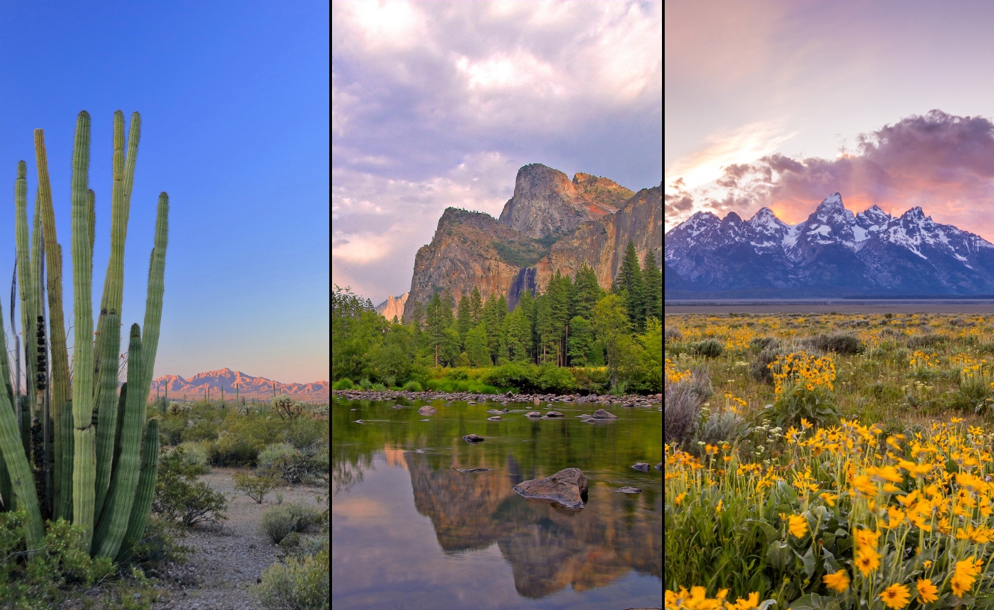 Horizontal composite image with three sections featuring landscapes. From left to right: Organ Pipe Cactus National Monument, Yosemite National Park and Grand Teton National Park.