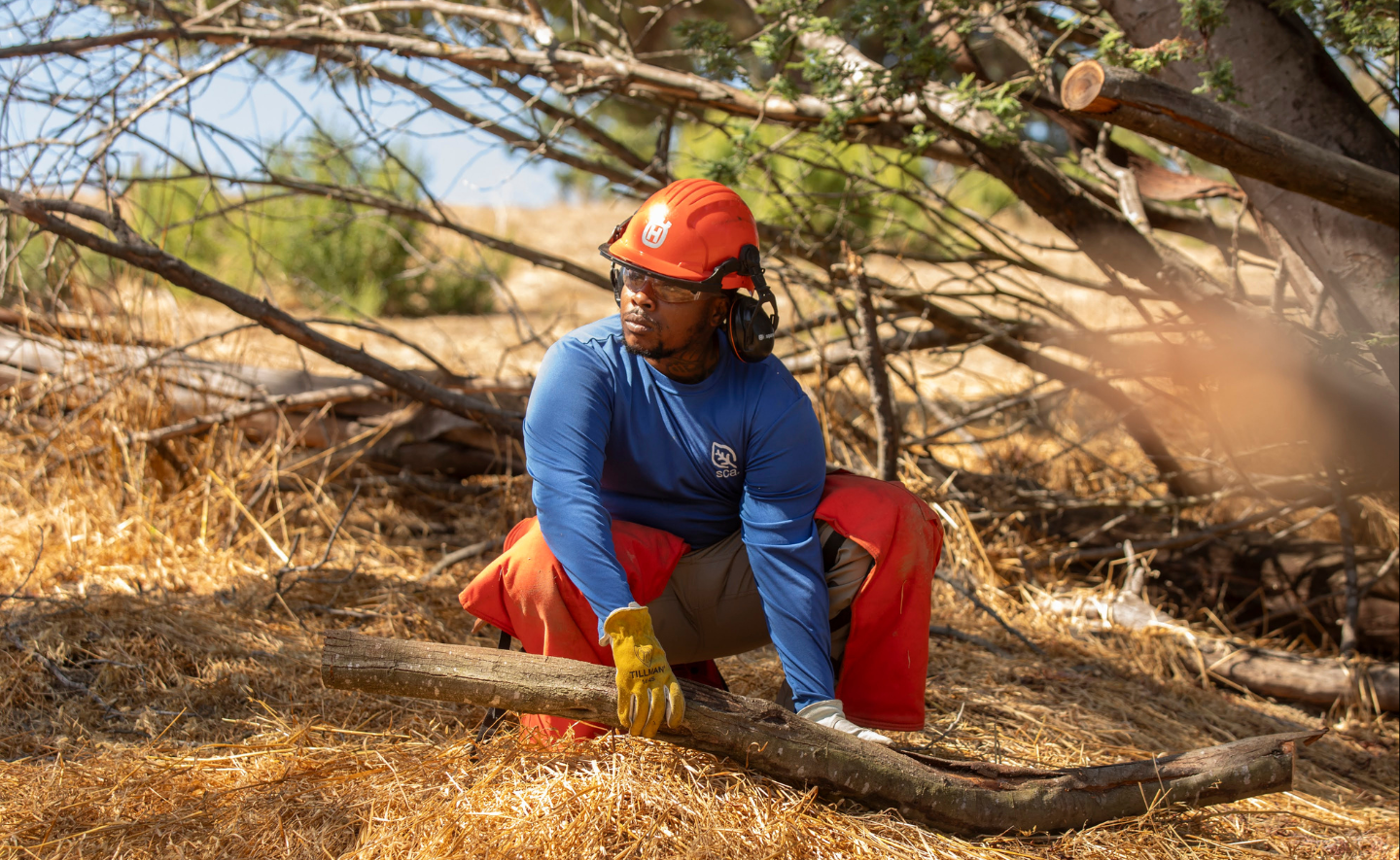 SCA Bay Area Urban Forestry Crew Member Jerahmiah Wills in an SCA shirt, work pants and safety gear crouching near a fallen tree branch in a wooded area.