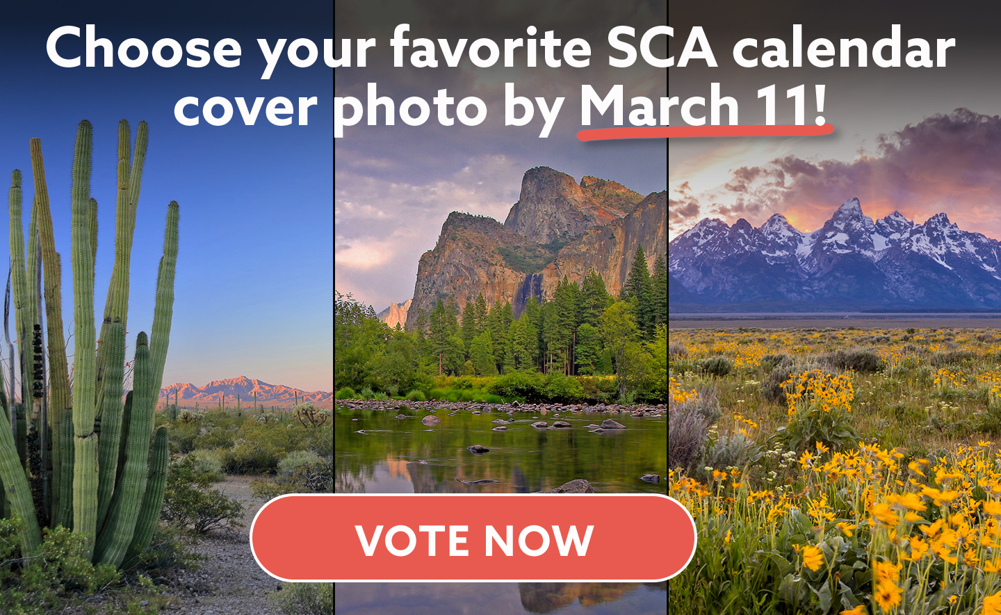 Choose your favorite SCA calendar cover photo by March 11!