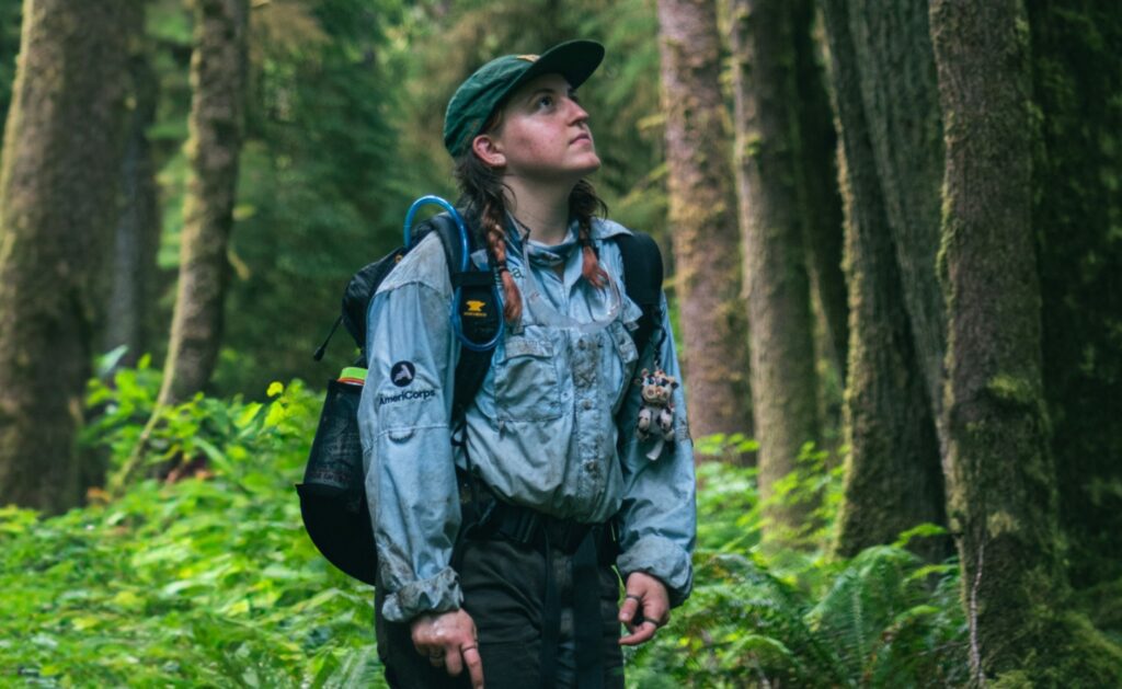 An SCA crew member with blond braids wearing a baseball cap, blue button down shirt and back pack looks high into the canopy in Olympic National Forest.