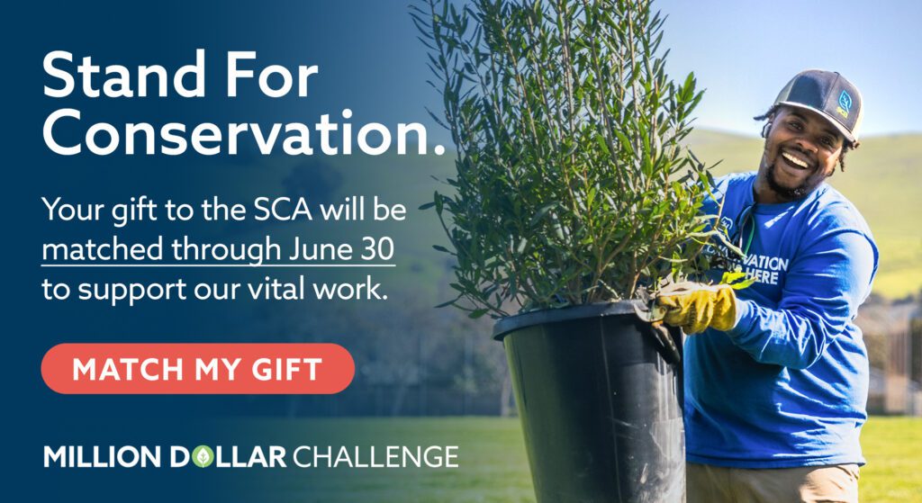 Image of a person holding a small tree in a pot with the text: "Stand For Conservation"