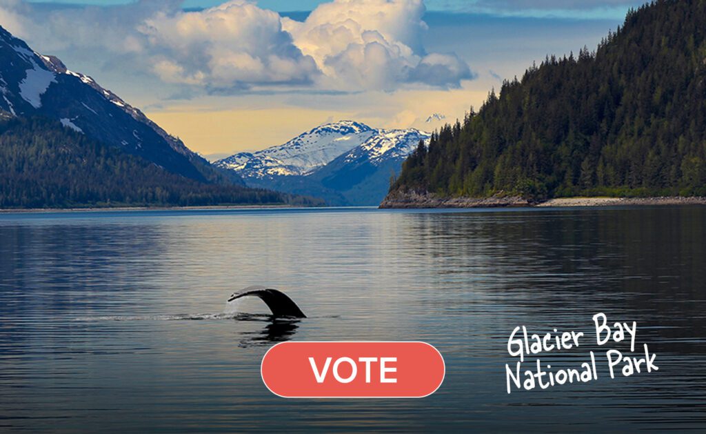 A whale fin dipping into the water of Glacier Bay National Park & Preserve