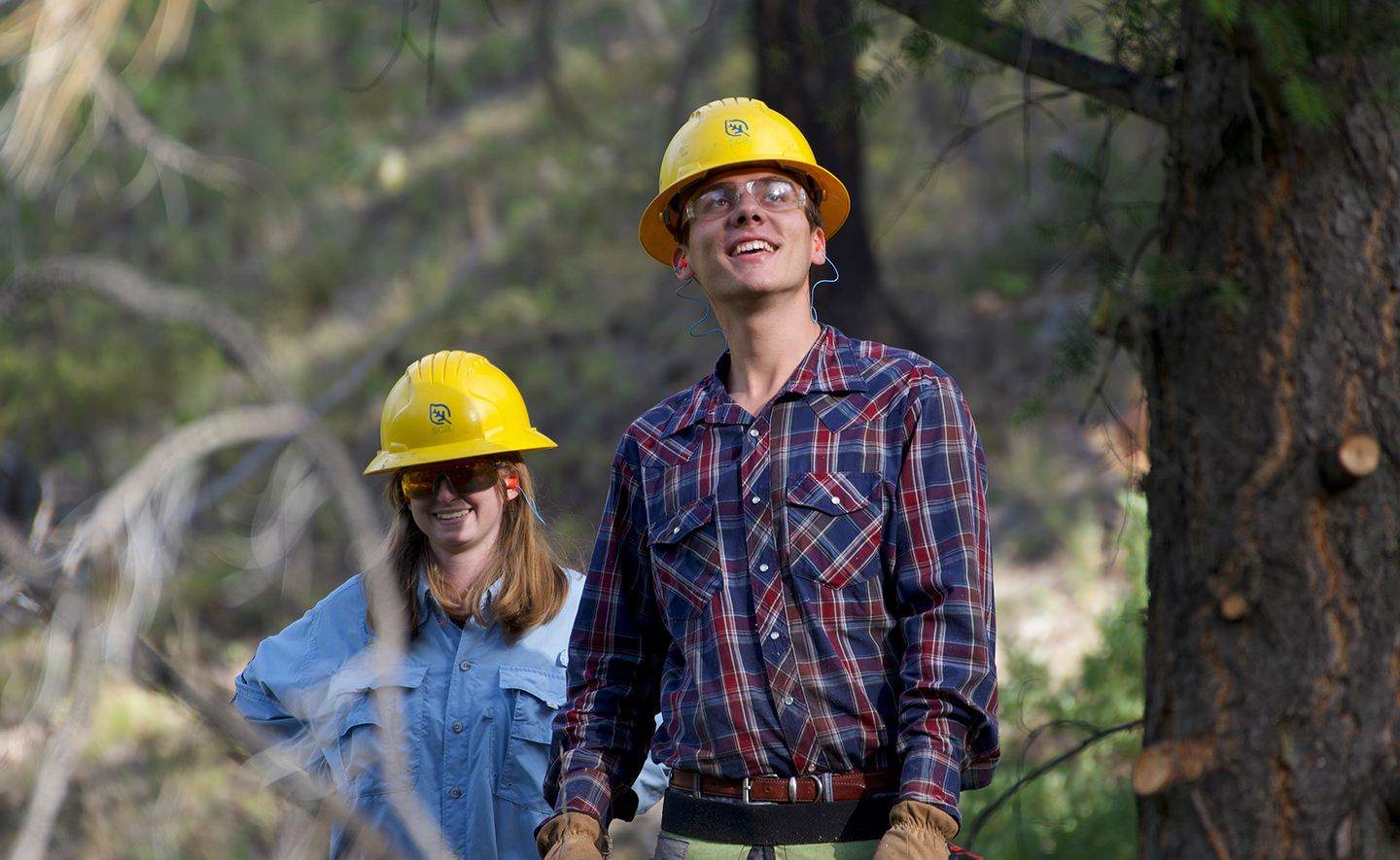 Two SCA crew members in the woods wearing protective hats looking up at the trees
