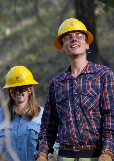 Two SCA crew members in the woods wearing protective hats looking up at the trees.