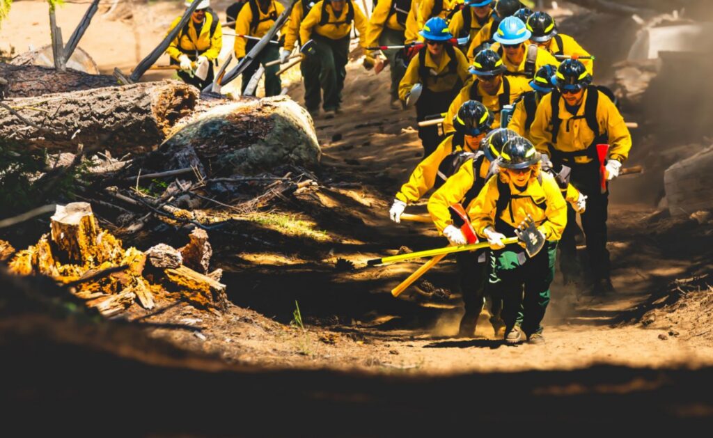 Photograph showing a group of wildland firefighters in yellow protective gear and helmets walking through a forested area with fallen trees and debris. The scene highlights teamwork and preparedness during wildfire management or forest fire response.
