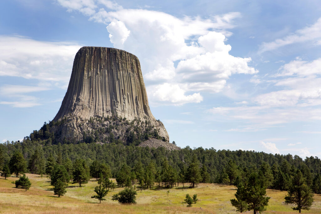 Photograph of Devils Tower at Devils Tower National Monument in Wyoming. The photo shows the large, columnar rock formation rising prominently above a forested landscape under a partly cloudy sky. The scene highlights the tower's vertical striations and surrounding pine trees, emphasizing its unique geological structure and natural setting.