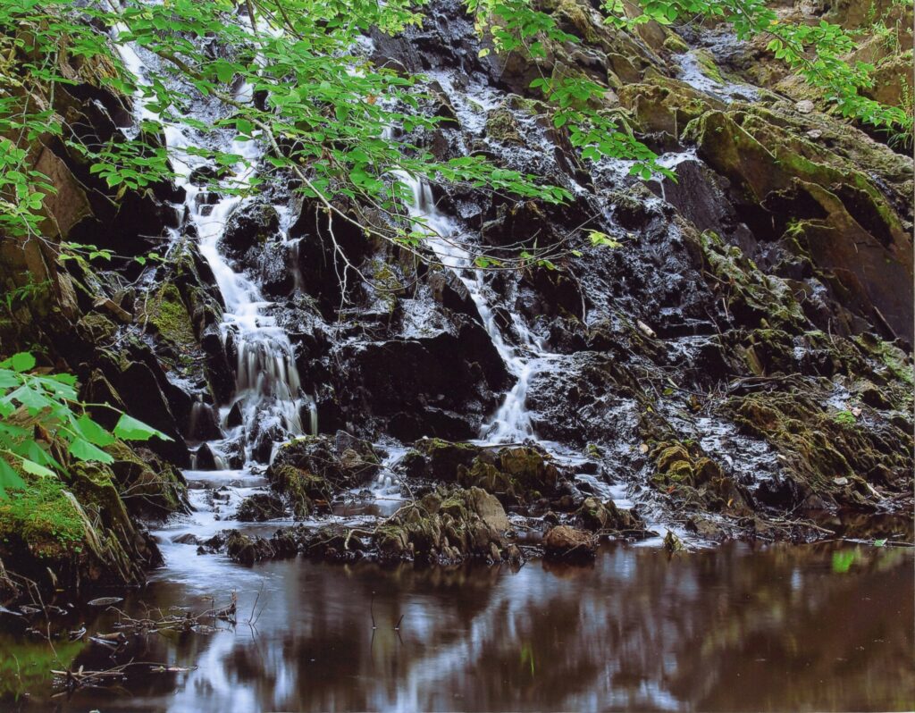 Photograph of a small waterfall at Prince William Forest Park in Virginia cascading over dark, moss-covered rocks into a calm pool of water below. Surrounding greenery and tree branches frame the scene, highlighting a peaceful natural setting.