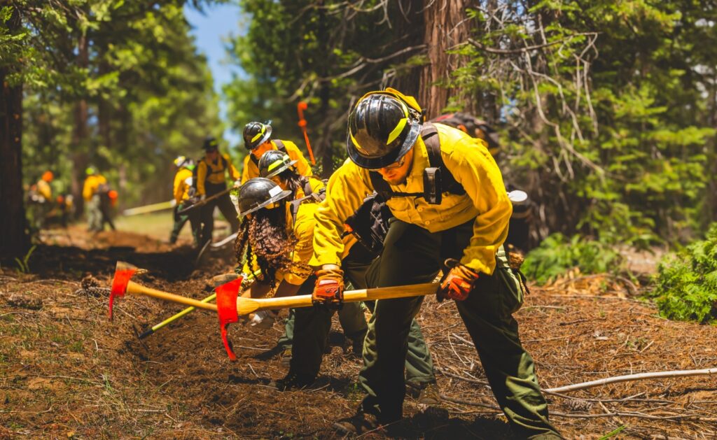 Photograph of the SCA's Wildland Fire Academy cadets in yellow protective gear using hand tools to clear forest underbrush along a trail.