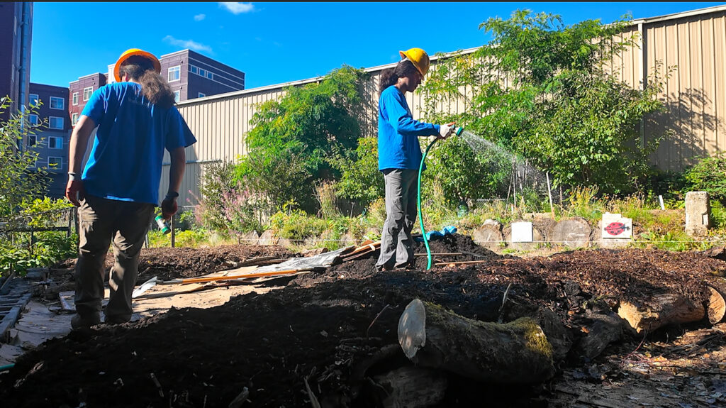 Photograph shows two SCA crew members tending a landscaped garden beside an urban building on a sunny day. One crew member waters plants with a green hose while another stands near freshly mulched soil, logs, shrubs, and newly planted vegetation.