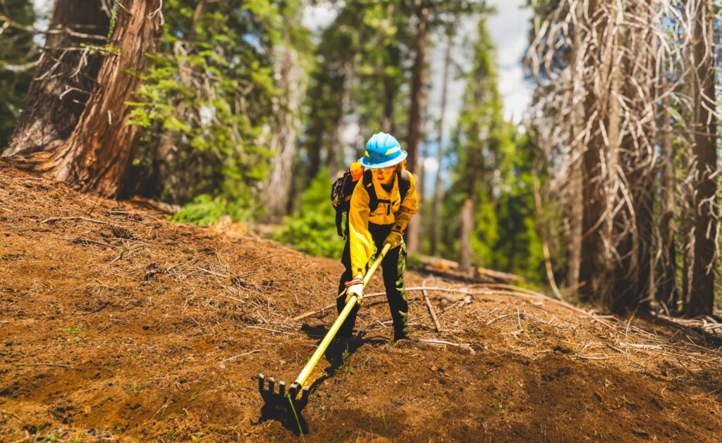 Photograph shows an SCA Wildland Fire Academy cadet clearing pine needles and debris from a wooded slope. The cadet wears yellow protective clothing, blue helmet, gloves, and backpack while using a long-handled rake among tall trees and dry branches.