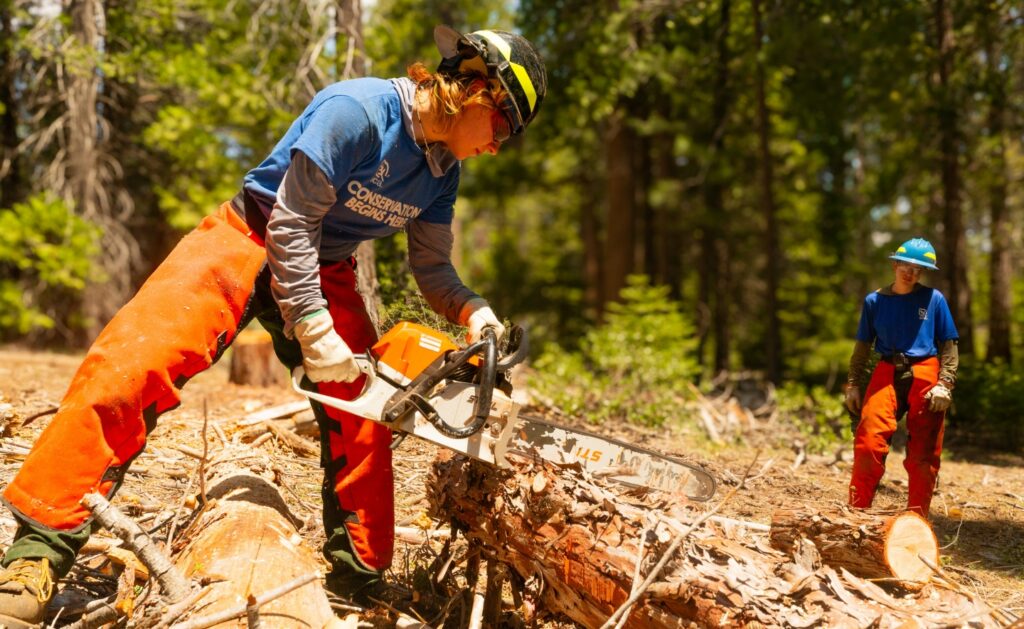 Photograph showing two SCA Wildland Fire Academy team members cutting fallen tree with a chainsaw in a sunlit woodland. Foreground worker wears helmet, gloves, blue shirt, and orange protective trousers, while second worker stands nearby in matching safety gear.