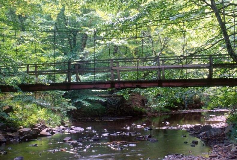 Bridge outside in forest