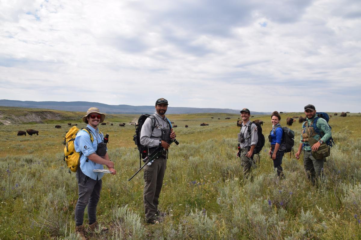 Bison vs. Buffalo: Knowing the Difference - The Student Conservation ...