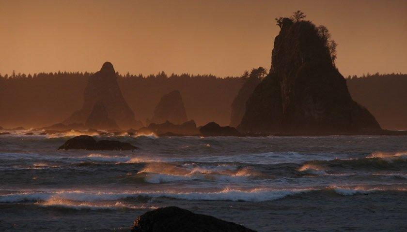 Park in Your Pocket: Olympic National Park