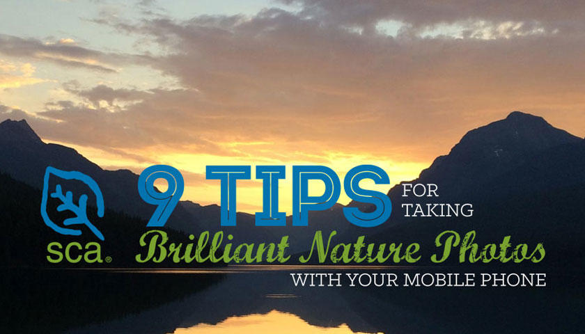 Tips for Taking Better Nature Photos