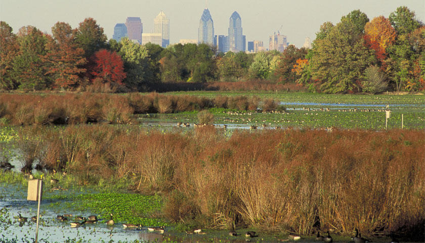 Future conservationists help out at Heinz refuge - Student Conservation ...