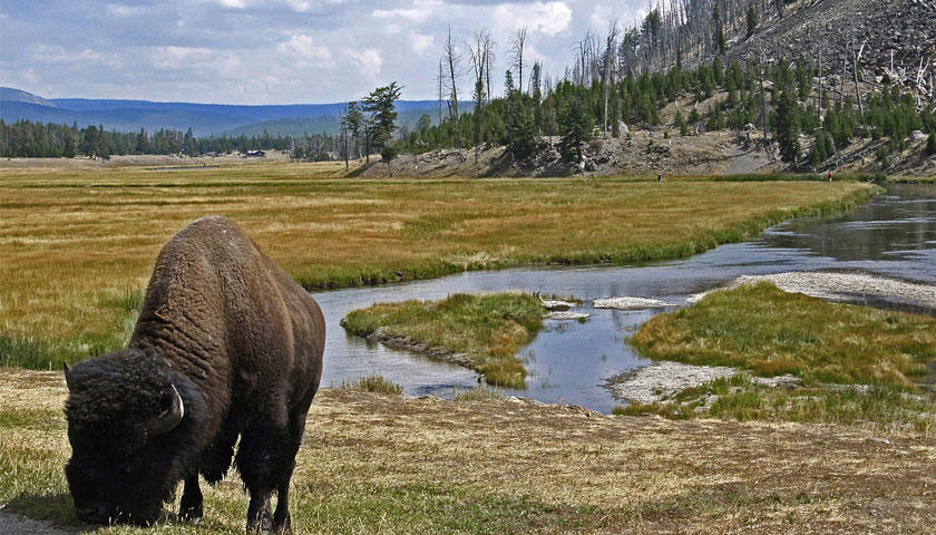 Park In Your Pocket: Yellowstone National Park
